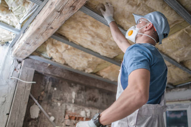 Best Types of Insulation in Kealakekua, HI