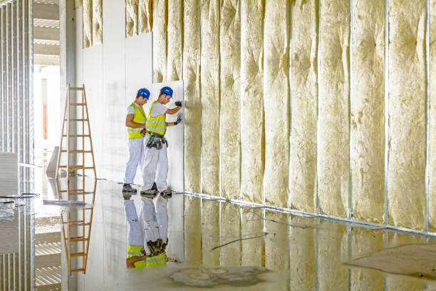 Best Insulation for Specific Applications in Kealakekua, HI